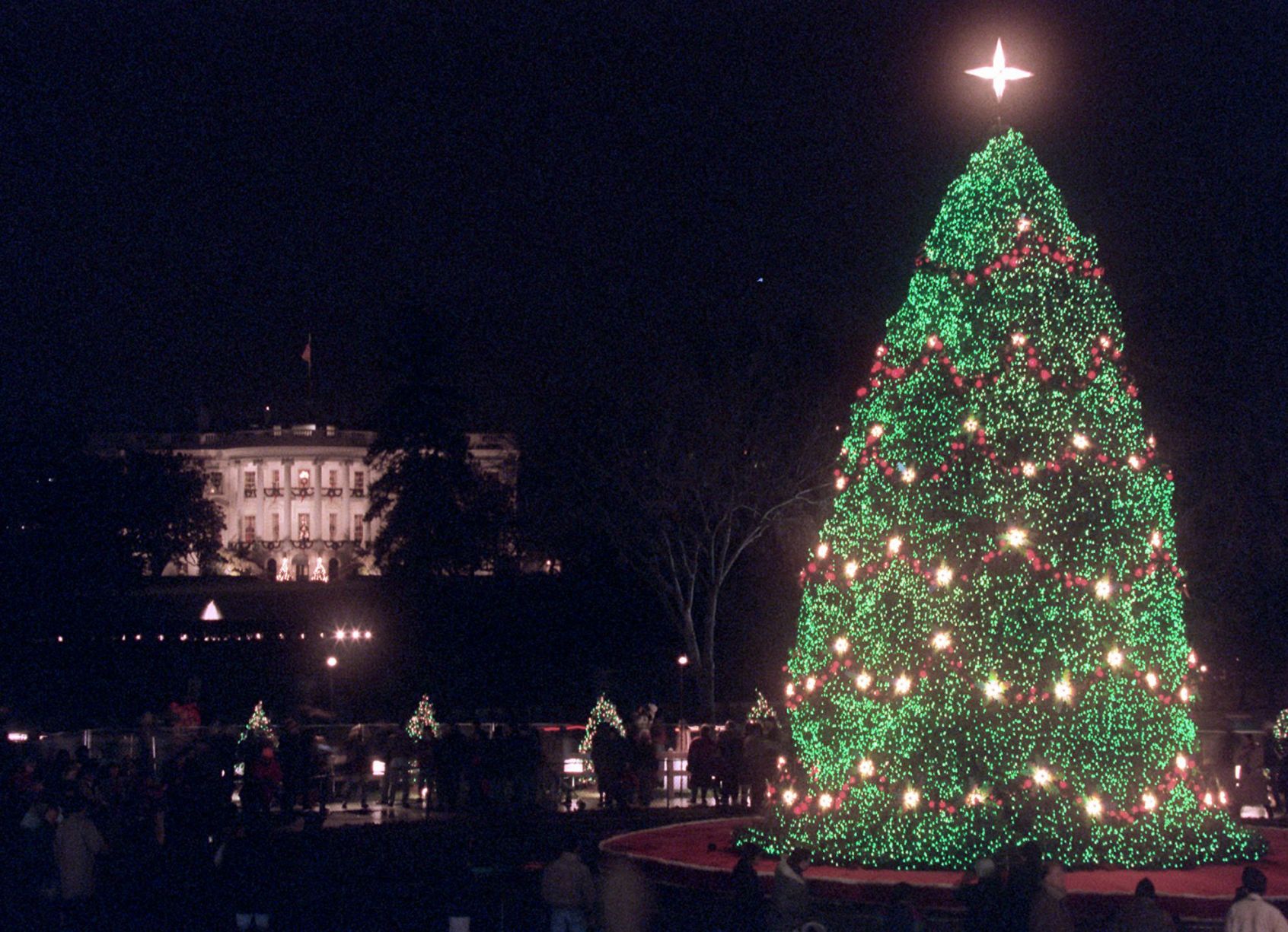 CHRISTMAS TREE